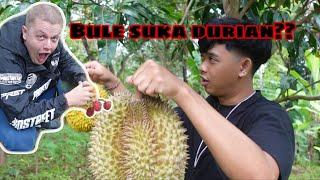 BULE SUKA DURIAN?? || Vlog Panen Durian