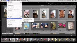 Smart Photos: Using Perfect Effects 9 Premium with Lightroom and Aperture