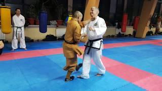 Shaolin Master Shi Heng Yi  Self defence technique