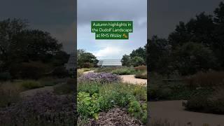 Autumn horticultural highlights in the Piet Oudolf Landscape at RHS Garden Wisley #rhs #gardening