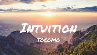 Intuition - TOCOMO