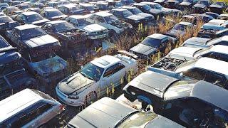 JAPAN’S NISSAN SKYLINE GRAVEYARD!