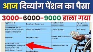 आज दिव्यांग पेंशन का पैसा 3000 डाला गया | UP Divyang Pension Kab Aaegi 2024 | UP Pension New Update