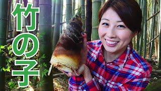 Digging up bamboo shoots! 竹の子を掘ってみた！