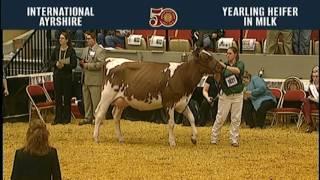 World Dairy Expo 2016 Stream Two