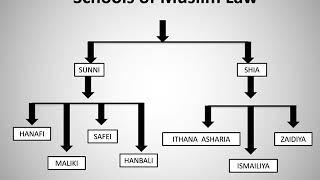 SCHOOLS IN MUSLIM LAW |      #Intro to schools #Sunni schools # Shia schools