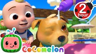 Bingo Needs A Bath! | CoComelon Animal Time | Animal Nursery Rhymes