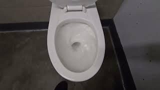 1995 American Standard Afwall Toilet Flush | Rogers Arena, Mens Section 108, Vancouver BC Canada 