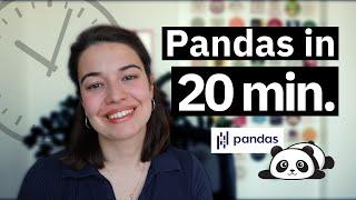 Learn Pandas in 20 minutes!