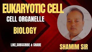 Eukaryotic Cell|Animal Cell|Plant Cell|shamim@neet