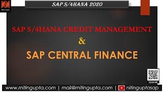 SAP Central Finance & Credit Management