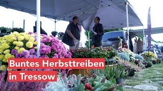 Kulturgarten Tressow - ein Ort der Gemeinschaft, zum Gärtnern und Genießen