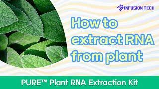 Infusion Tech │How to extract RNA from plant