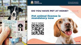 Pet Animal Licence ஆன்லைன் மூலம் விண்ணபித்து பெறுவது எப்படி #pets  #license #chennai #doglover #dog