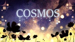 【ウォルピス社】COSMOSを歌ってみました【提供】