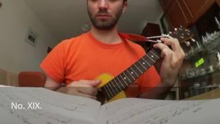 Ondrej Sarek: 48 Fingerstyle Studies for Ukulele with low G