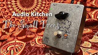 Audio Kitchen / The Small Trees