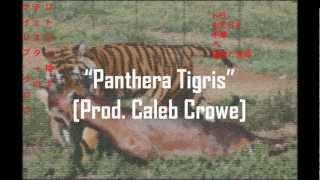 Chester Watson - "Panthera Tigris" [Prod. Caleb Crowe]