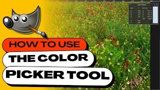 How to Use the Color Picker Tool (Eyedropper) in GIMP