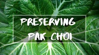 How to Preserve Pak Choi | THE NATURE PATCH