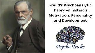 Psychoanalytic Theory on Instincts, Motivation, Personality & Development