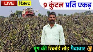 मूंग की 9 कुंटल प्रति एकड़ पैदावार | किसान ने पिछला रिकॉर्ड तोड़ा | IFSA Banshi Gold Moong 