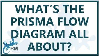 What’s the PRISMA flow diagram all about?