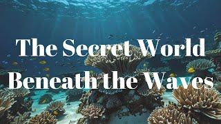 The Secret World Beneath the Waves | Sea Animals and Coral Reef | Exploring The Underwater World