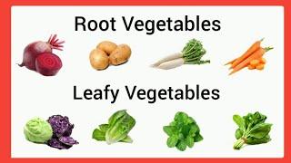 Root vegetables and leafy vegetables for kindergarten /Root vegetables for ukg/Leafy vegetables ukg