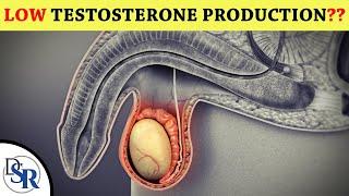 Do You Have Low Testosterone? Symptoms & Solutions…