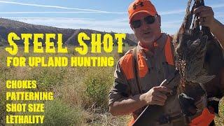 STEEL SHOT FOR UPLAND HUNTING