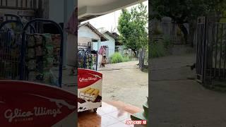 Si ajril ngamok ga mau sekolah #shorts #anakdesa #minivlog