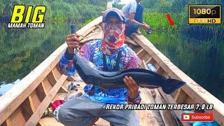 REKOR PRIBADI !! TOMAN TERBESAR 7,5LB MENGGUNAKAN SOFG LURE CASTING MAMAH TOMAN BESAR #fishing