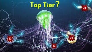 The Jellyfish Tier List