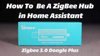 How to set up SONOFF ZigBee 3 0 USB Dongle Plus in Home Assistant