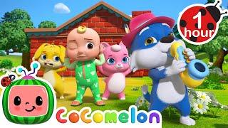 The Three Little Friends + More CoComelon Animal Time | Animals for Kids