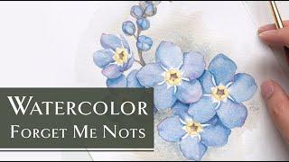 Watercolor Forget Me Not Tutorial | Beginner Color Palette