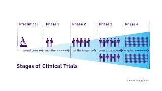 Экспериментальные клинические исследования: рандомизированные, фазы, виды контроля, плацебо