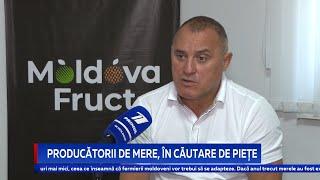 Producătorii de mere, în căutare de piețe