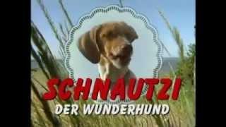 Schnautzi der Wunderhund