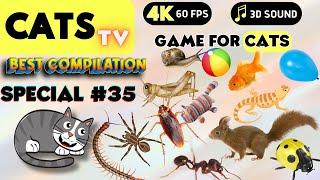 CAT Games | Ultimate Cat TV Compilation Vol 35  Episode SPECIAL  8 HOURS 