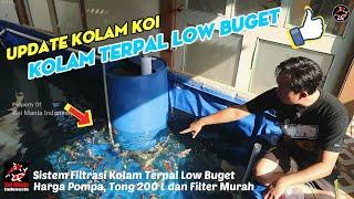  Kolam Ikan Koi | Membuat Kolam Terpal | Low Buget