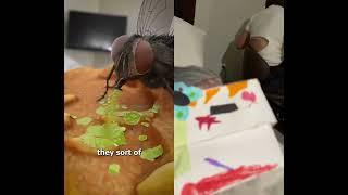 I see you reading the caption NOW GO WATCH DA VIDEO #fypシ #dragonpuppetarmy #idk #art #fly #ew