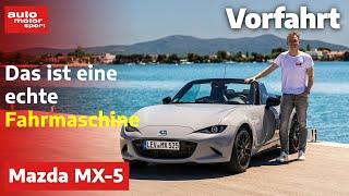 Mazda MX5: – Vorfahrt (Review) | auto motor und sport