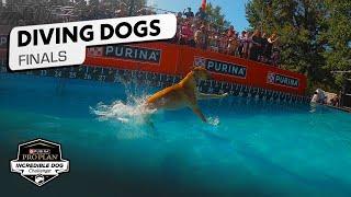 Incredible Dog Challenge: Dog Diving National Championship | NBC Sports