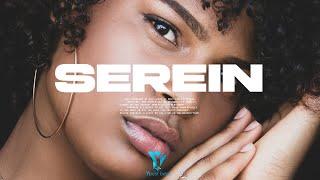 "SEREIN" Afro Kompa Instrumental 2024 (Joe Dwet File Type Beat)