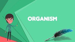 What is Organism? Explain Organism, Define Organism, Meaning of Organism