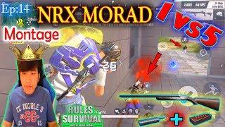 NRX Morad 1vs5,Gyro ,ROS Most Kill Montagurvivale,Rules Of S,NRX Thai,Saxy Gaming|Ep13