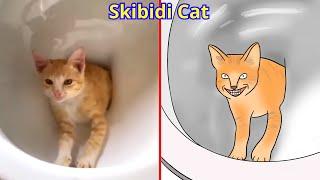 Cat Memes: Skibidi Toilet Cat and Funniest Dogs (updated)  Trending Funny Animals 