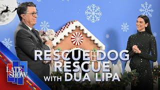 Rescue Dog Rescue with Dua Lipa - Holiday Edition